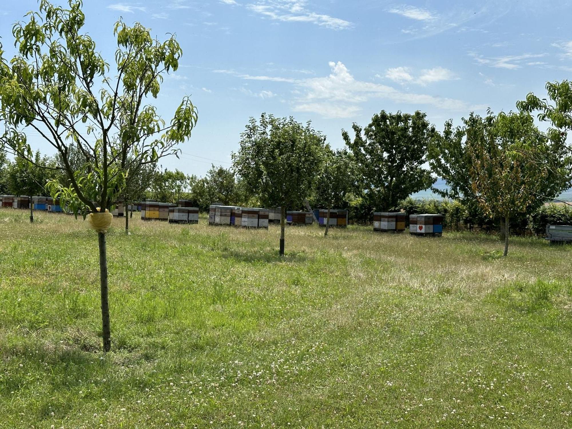 L'Intemporel Cernay-les-Reims Exterior foto